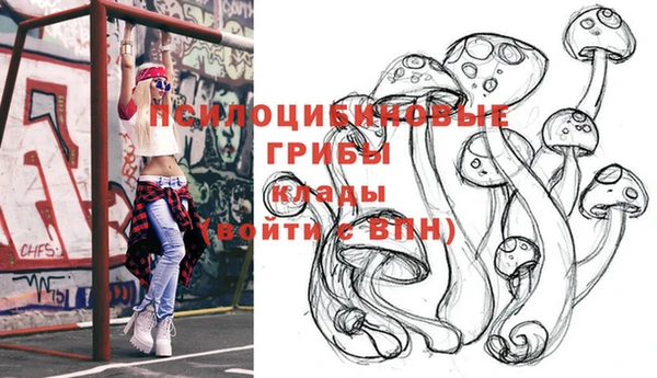 хмурый Балабаново
